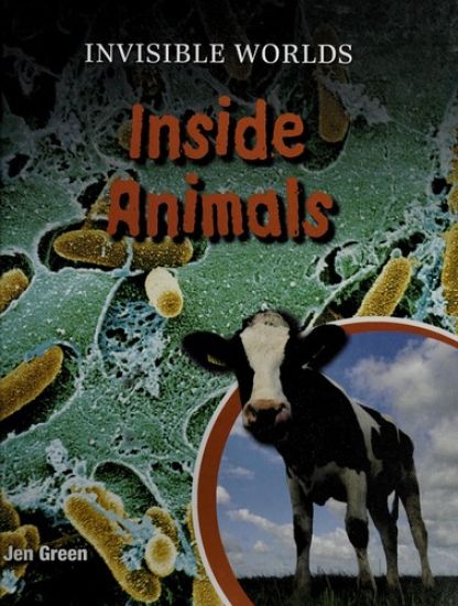 Inside Animals