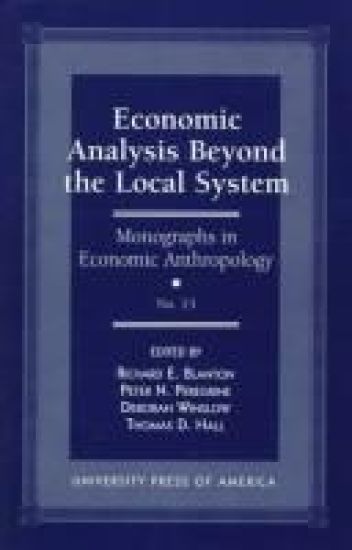 Economic analysis beyond the local system