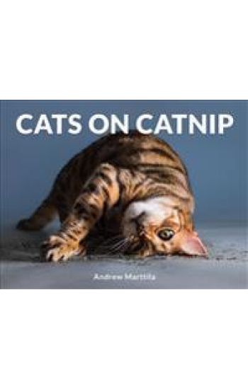Cats on Catnip