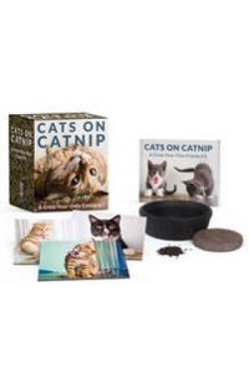 Cats on Catnip: A Grow-Your-Own Catnip Kit