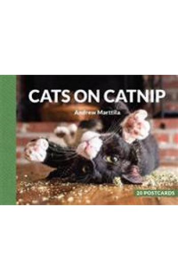 Cats on Catnip: 20 Postcards