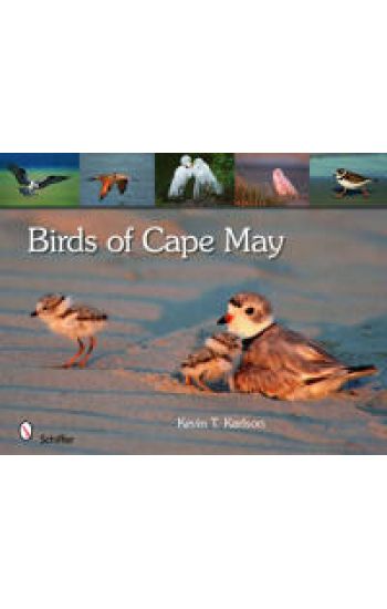 Birds of Cape May, New Jersey