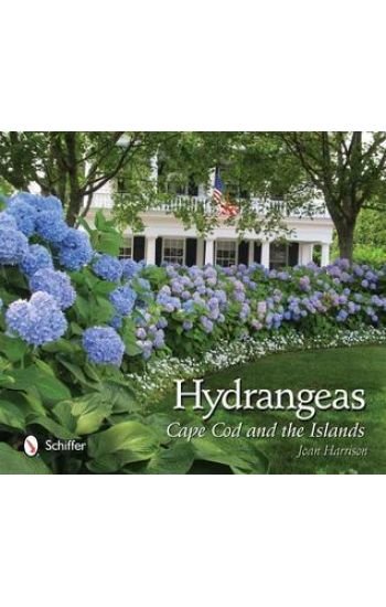 Hydrangeas