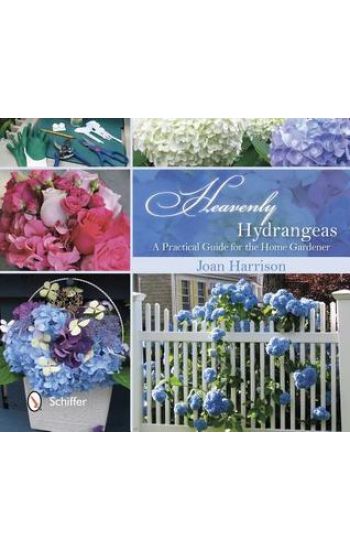 Heavenly Hydrangeas