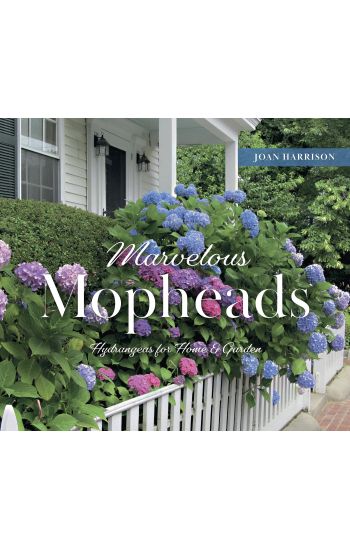 Marvelous Mopheads