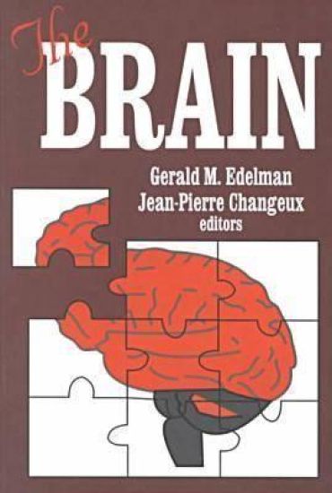 The Brain