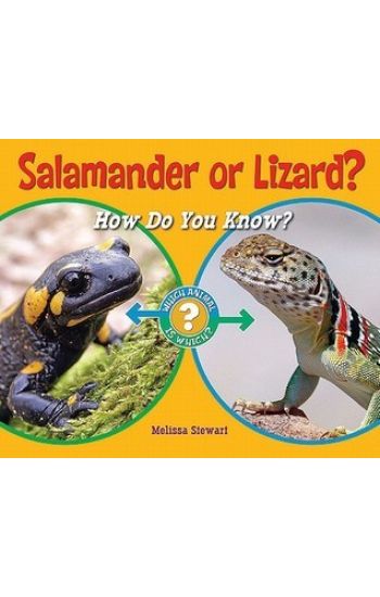 Salamander or Lizard?: How Do You Know?