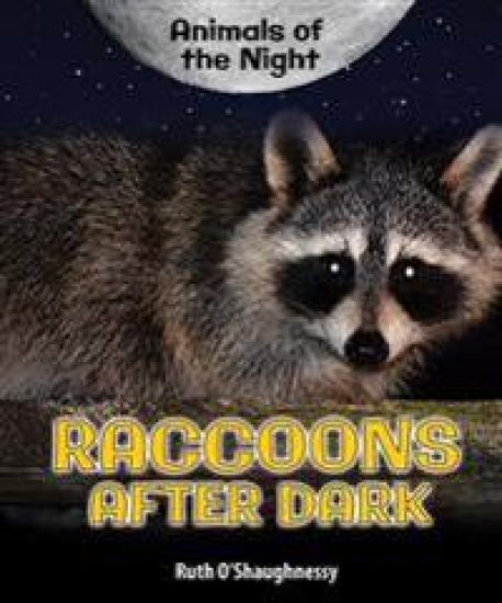 Raccoons After Dark