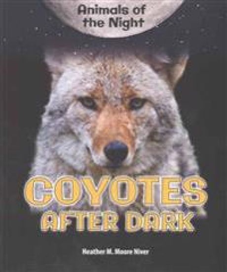 Coyotes After Dark