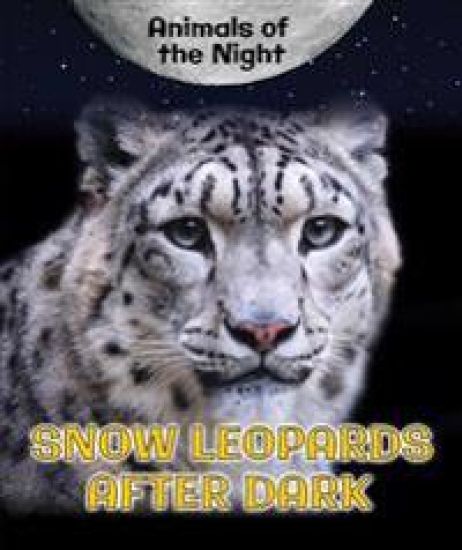 Snow Leopards After Dark