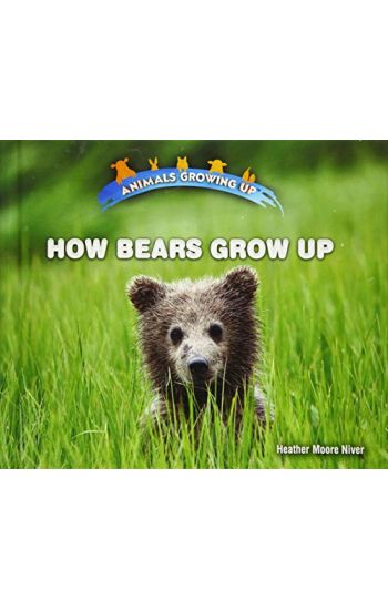 How Bears Grow Up