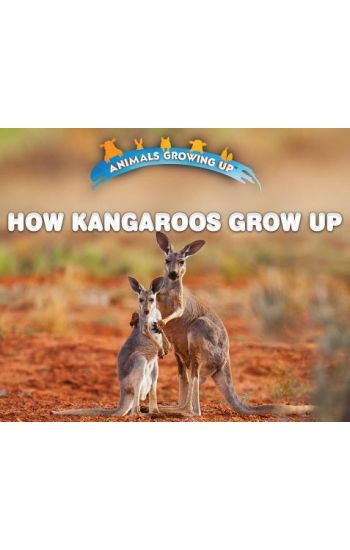 How Kangaroos Grow Up