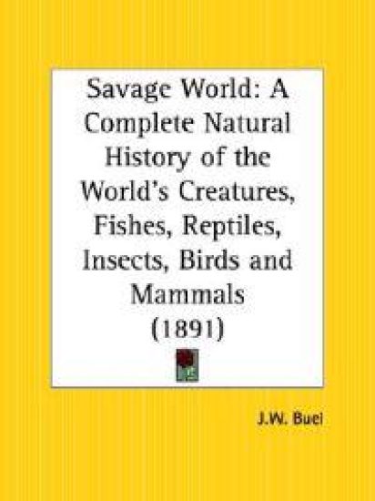 Savage World