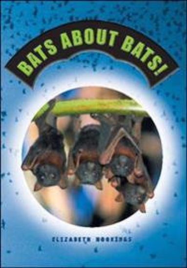 Bats About Bats
