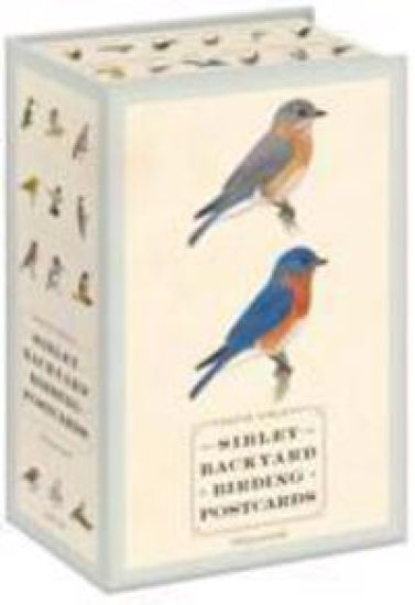 Sibley Backyard Birding Postcards