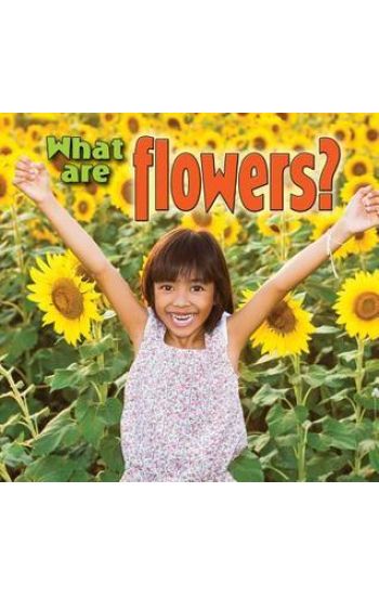 What are Flowers