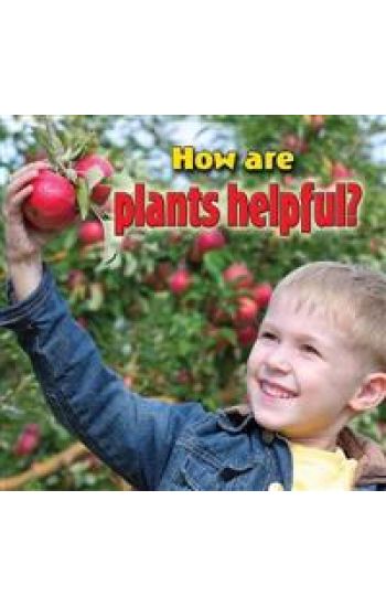 How are plants helpful?