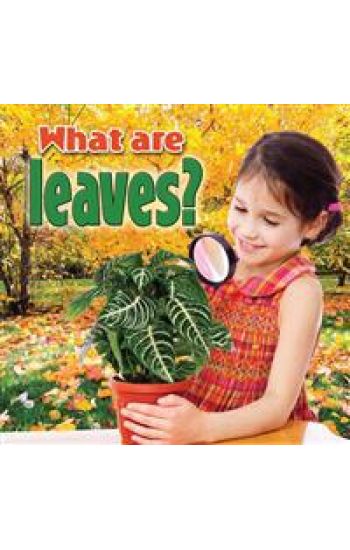 What Are Leaves?