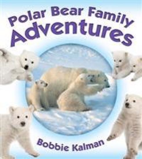 Polar Bear Family Adventures