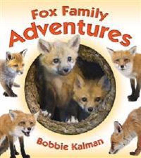 Fox Family Adventures
