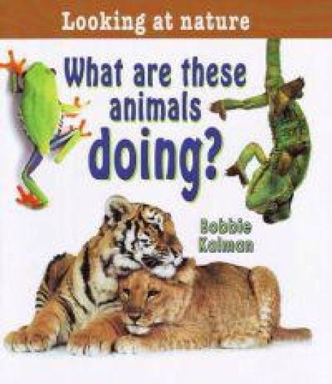 What Are These Animals Doing?