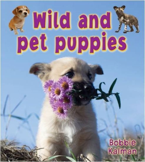Wild and Pet Puppies