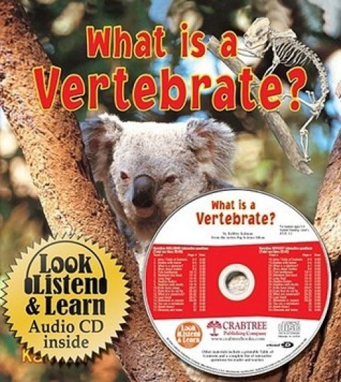 What is a Vertebrate?