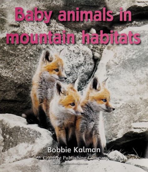 Baby Animals in Mountain Habitats