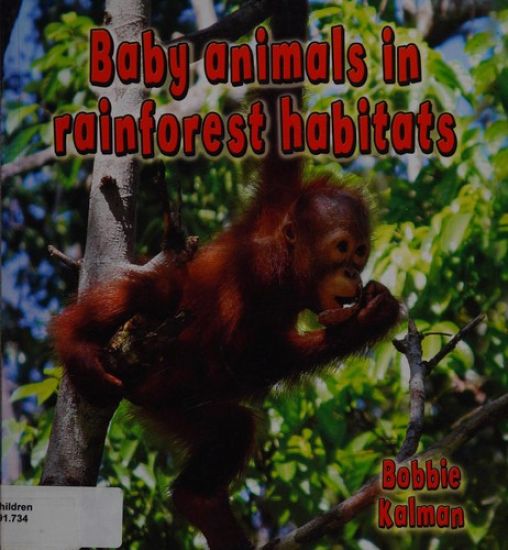 Baby Animals in Rainforest Habitats