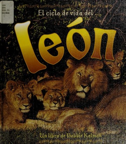 El Ciclo de Vida del Leon