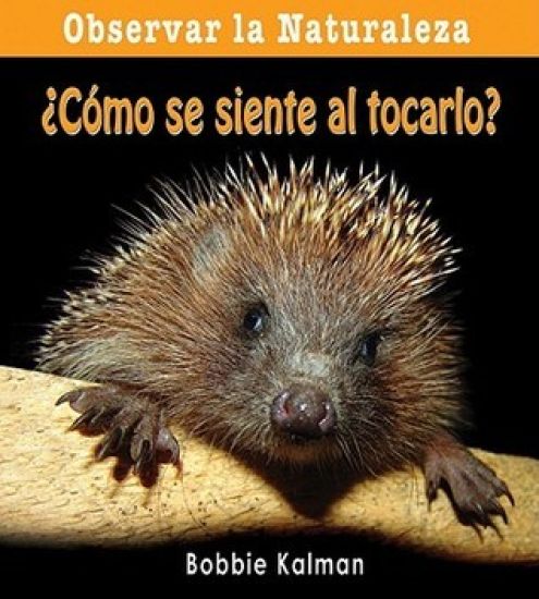 Como Se Siente Al Tocarlo?