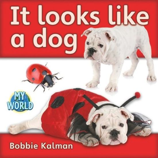 It Looks Like a Dog