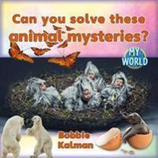 Can You Solve These Animal Mysteries?