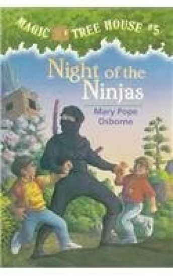 Night of the Ninjas