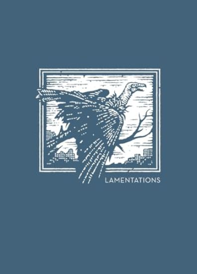NET Abide Bible Journal - Lamentations, Paperback, Comfort Print Softcover