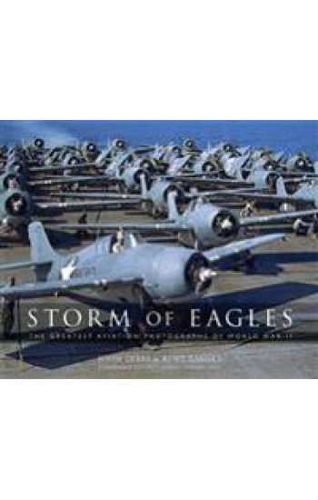 Storm of Eagles