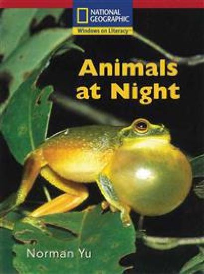Animals at Night
