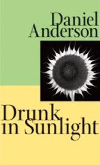 Drunk in Sunlight