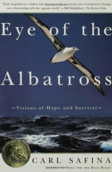 Eye of the Albatross