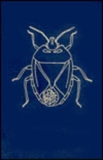 The Pentatomoidea