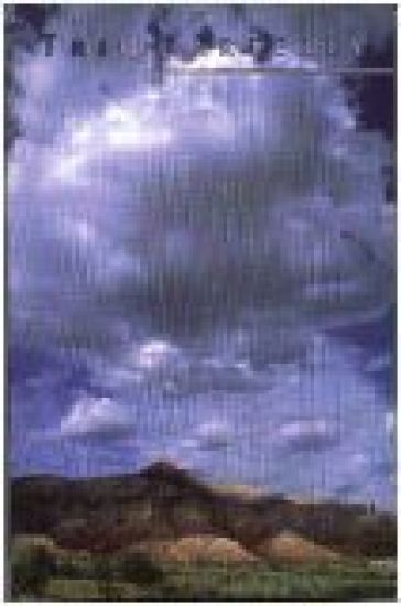 Triquarterly Issue 105