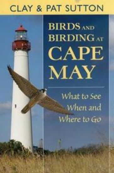 Birds and Birding at Cape May