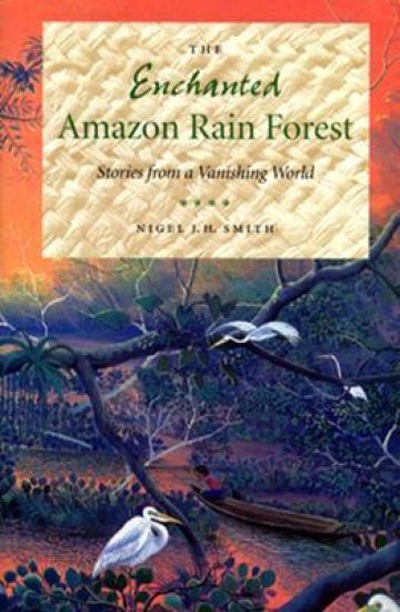 The Enchanted Amazon Rain Forest