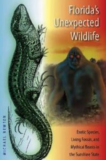 Florida's Unexpected Wildlife