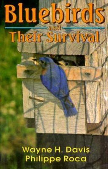 Bluebirds And Their Survival