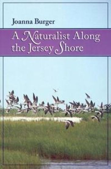 A Naturalist Along the Jersey Shore