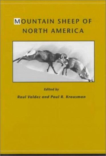 Mountain Sheep of North America – Raul Valdez, kirjan kansikuva