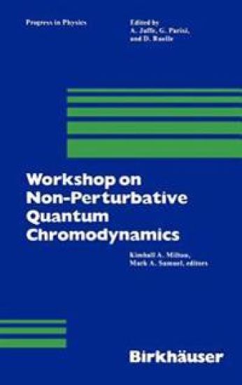 Workshop on Non-Perturbative Quantum Chromodynamics