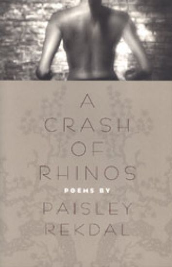 A Crash of Rhinos