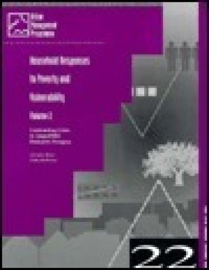 Household Responses to Poverty and Vulnerability v. 2; Confronting Crisis in Angyalfold, Budapest, Hungary